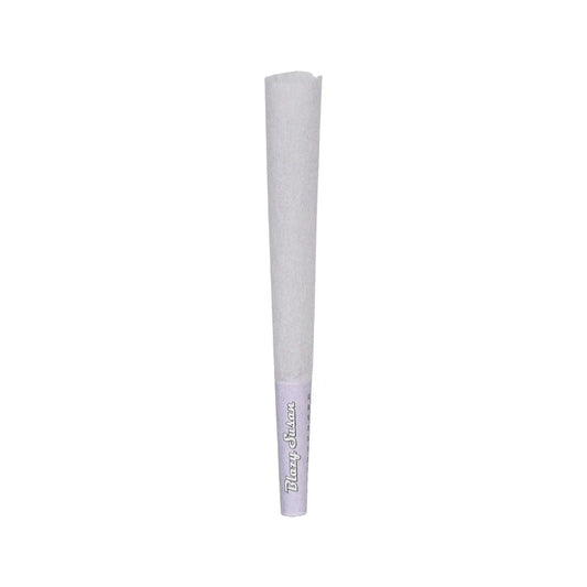 Blazy Susan Purple Pre-Rolled Cones (1 1/4" | 50-Pack)