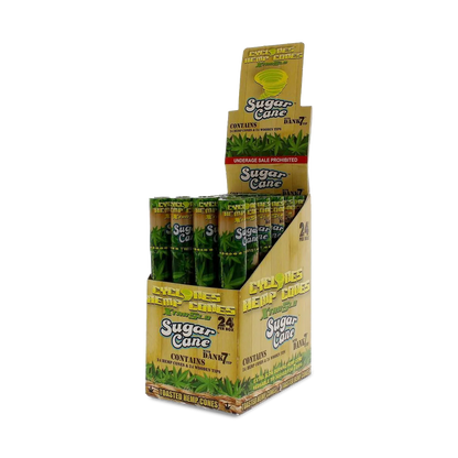 Cyclones Hemp Xtra Slo Flavored Cones (24-Pack)